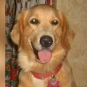 Meet your Posher, Grisel